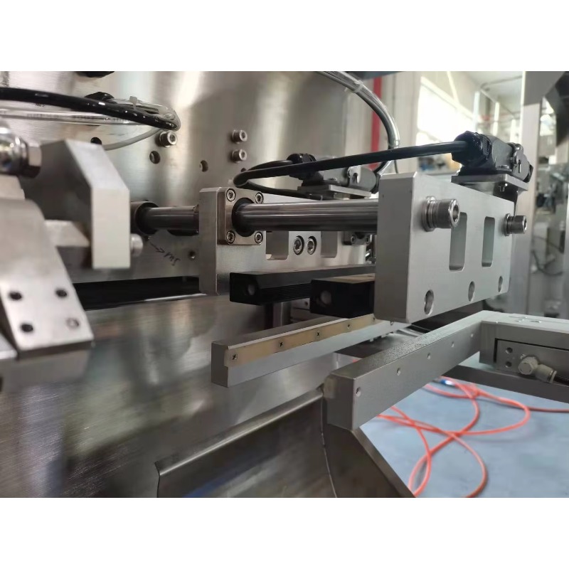 Machine d'emballage horizontal - Jerky Beef Pack avis et prix